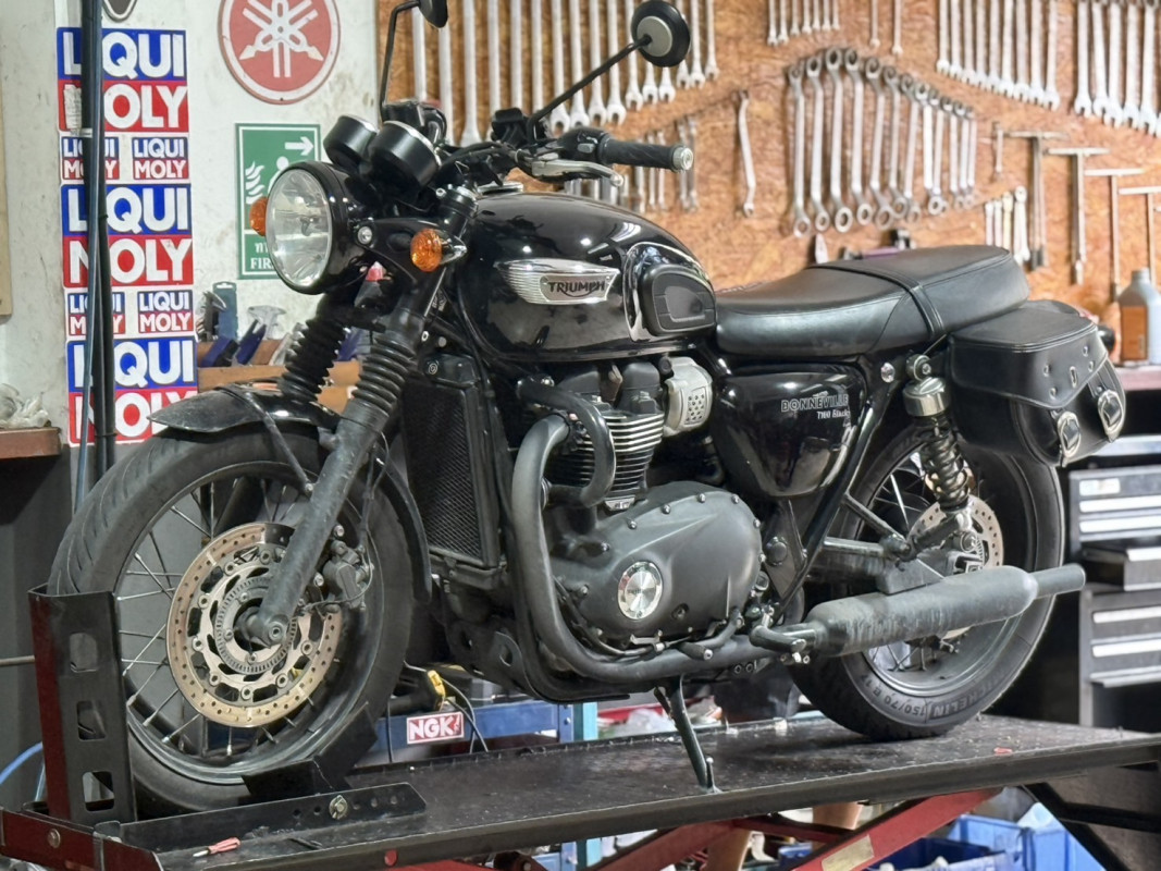 เปลี่ยนกรองน้ำมันเครื่อง RAZER FR-204 Triumph Bonneville T100